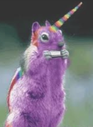 Purple Squirrel or Unicorn describes a hard to find candidate